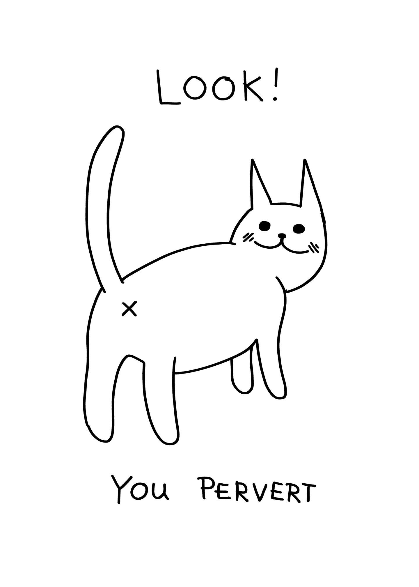 Look You Pervert Cat